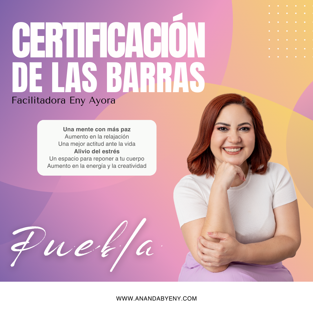 _Clase de  las Barras (53)