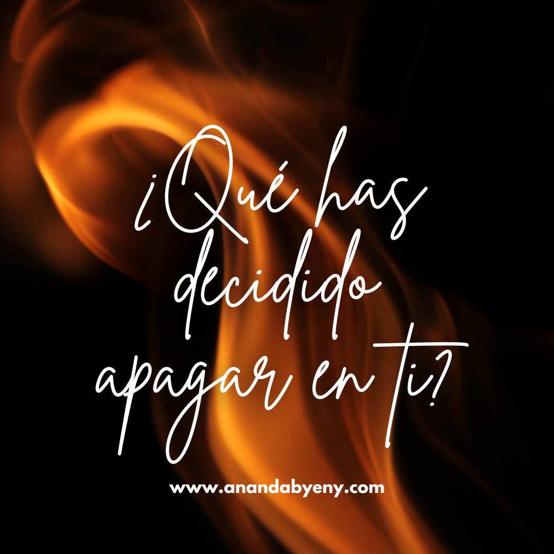 Copia de ¿LE DIRIAS ¡SI! (5)